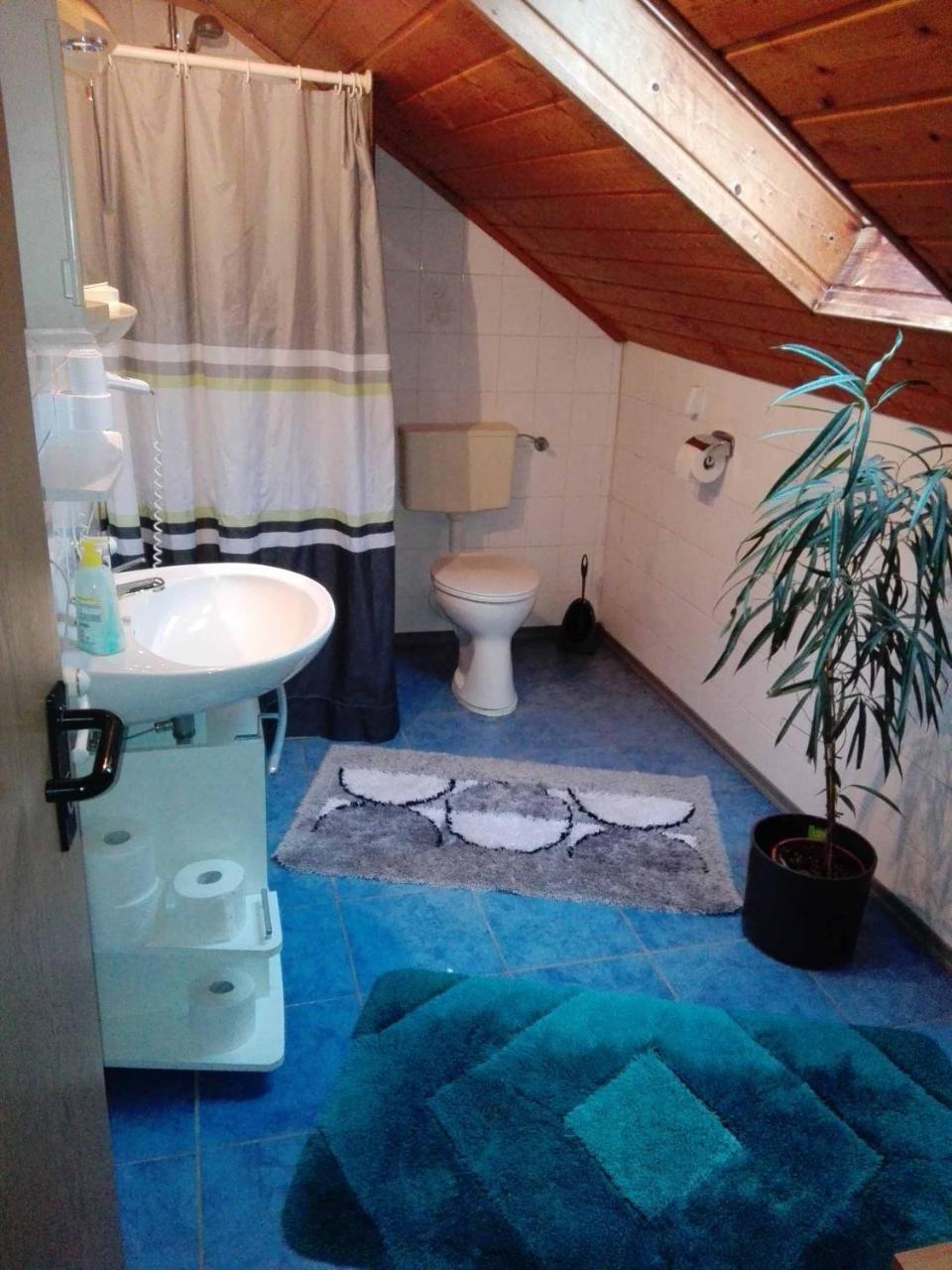 Dichtl Apartment *