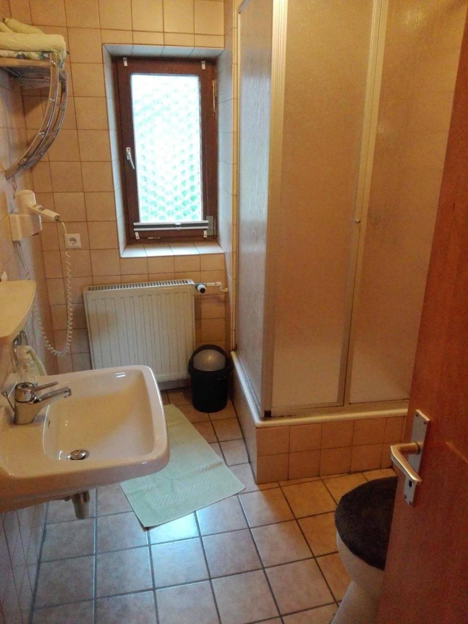 Dichtl Apartment Grafenau (Bavaria)