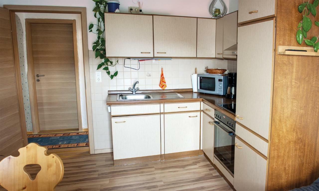 Dichtl Apartment Grafenau (Bavaria)